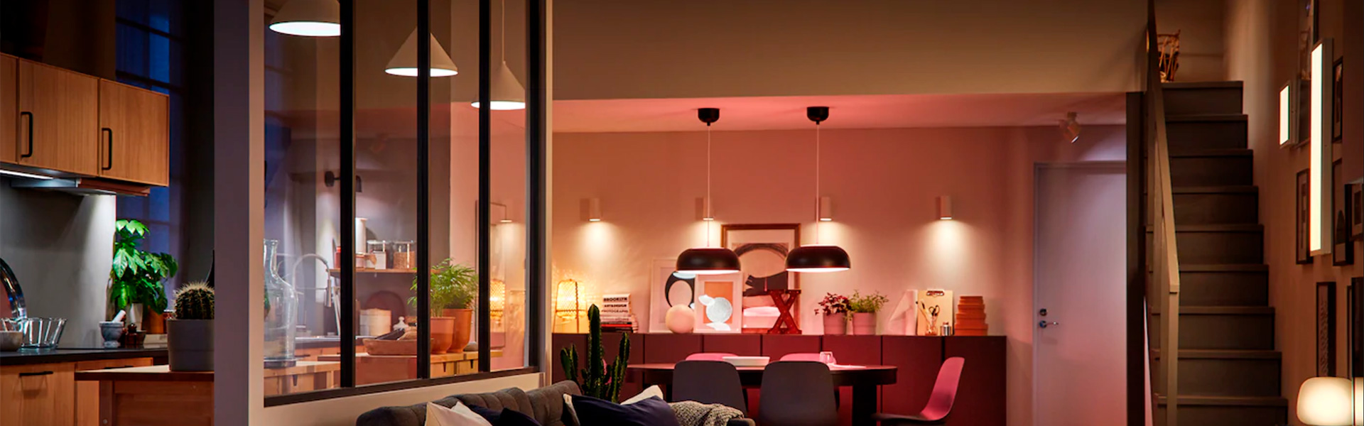 LED Pendant / Downlight