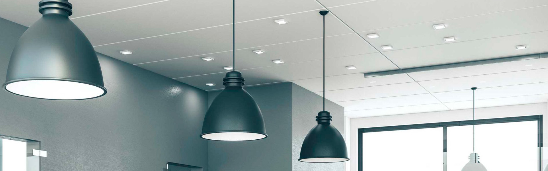 LED Pendant / Downlight